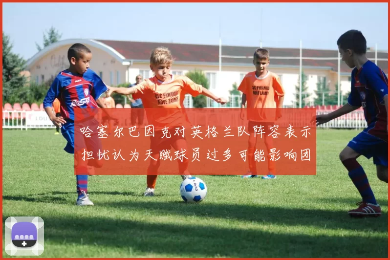哈塞尔巴因克对英格兰队阵容表示担忧认为天赋球员过多可能影响团队合作
